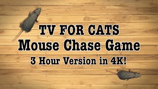 TV for Cats  12 HOUR Movie to Entertain Cats TESTED [upl. by Eberle]