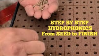 Hydroponic Seed to Finish STEP BY STEP [upl. by Cia864]