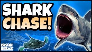 Shark Chase  Underwater Brain Break  GoNoodle Inspired [upl. by Lletnuahs858]