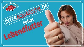 Lebendfutter  Lieferung von Interaquaristik Glanzwürmer Moinas Enchyträen [upl. by Eveivaneg288]