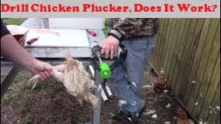 How Good Does This Drill Chicken Plucker Work Power Plucker [upl. by Llarret]