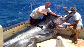 Amazing Fastest Giant Bluefin Tuna and Swordfish Fishing skill  Most Satisfying Sea Fishing Videos [upl. by Ivad477]