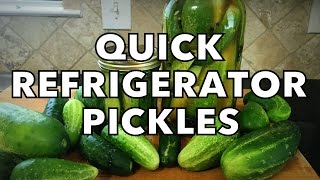 Quick Garlic Dill Refrigerator Pickles [upl. by Ynnol]