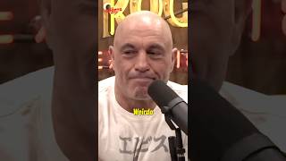 Joe Rogan Got Absolutely ROASTED By Elon Musks AI Friend [upl. by Yrrej704]