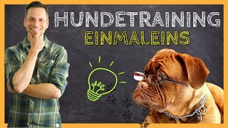 HUNDETRAINING Einmaleins  Grundlagen für eine ERFOLGREICHE Hundeerziehung [upl. by Ahsinor]