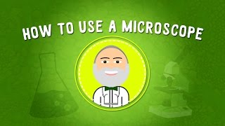 How to Use a Microscope  STEM [upl. by Grayson184]