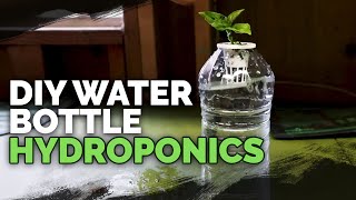 DIY Water Bottle Hydroponic System for Propagating and Herbs [upl. by Rosemari]