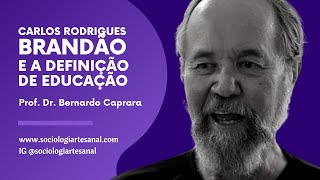 Carlos Rodrigues Brandão e a definição de educação  Ensino amp Aprendizagem 03 [upl. by Hafeenah]