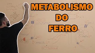 Metabolismo do ferro [upl. by Chien]