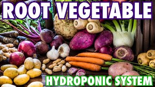 A Hydroponic System for Root Vegetables [upl. by Lednor]