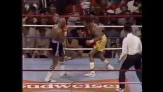 Hagler vs Hearns round 3 [upl. by Aiblis912]