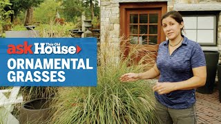 All About Ornamental Grasses  Ask This Old House [upl. by Johnette]