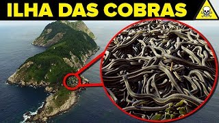 Conheça a PERIGOSA Ilha das COBRAS [upl. by Largent]