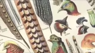 Olivier Messiaen 19081992 Messiaens use of birdsong [upl. by Hanfurd]