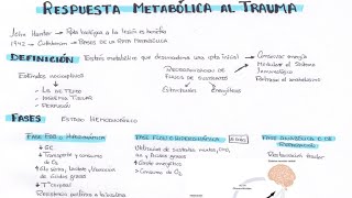 RESPUESTA METABÓLICA AL TRAUMA [upl. by Hoisch]