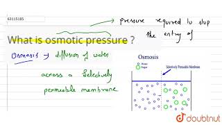 What is osmotic pressure [upl. by Ailgna]