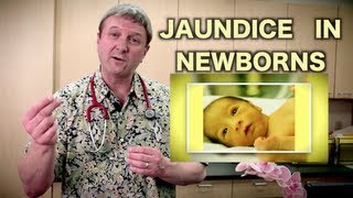 Jaundice in Newborns Pediatric Advice [upl. by Ennoira854]