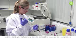 How to perform 3D cell culture [upl. by Marte]