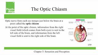 Openstax Psychology  Ch5  Sensation and Perception [upl. by Randolph]