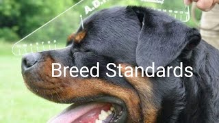 Rottweiler facts and history [upl. by Florin]