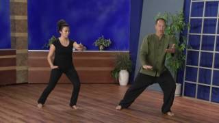 Tai Chi Movements for Balance and Alignment [upl. by Minnnie932]