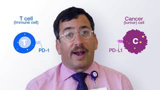 Explaining Immunotherapy PDL1 and PD1 [upl. by Elirpa435]