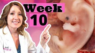 What Are 10 Week Pregnancy Symptoms  Plus How to Treat Heartburn and Morning Sickness [upl. by Haslett]