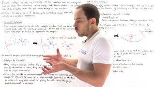 Mechanisms of Enzyme Catalysis [upl. by Medin]