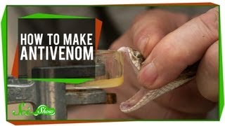 How To Make Antivenom [upl. by Howard]