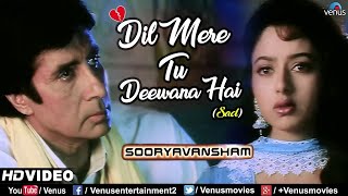 Dil Mere Tu Deewana HaiSad  Amitabh Bachchan amp Soundarya  Sooryavansham  Ishtar Music [upl. by Dnalram]