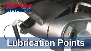 Honda Marine DIY Lubrication Points [upl. by Alletsyrc]