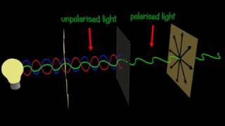 Polarization  Polarizer  Explained and animated 3d [upl. by Kinsley]