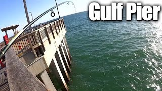 Pier Fishing for Beginners  Easy Fishing at the Gulf State Park Pier [upl. by Ahens649]