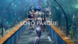 LORO PARQUE TENERIFE CANARY 2023 4K [upl. by Ahset]