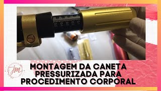 Montagem da caneta pressurizada procedimento corporal Hyaluron Pen [upl. by Hamann418]