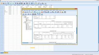 SPSS  Correspondence Analysis [upl. by Autum]