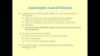 Amyotrophic Lateral Sclerosis ALS  Mechanism of Neuron Death [upl. by Dnaletak912]