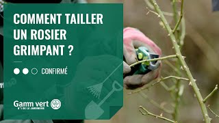 TUTO Comment tailler un rosier grimpant   Jardinerie Gamm vert [upl. by Hollerman98]