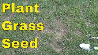 How To Plant Grass SeedFULL Tutorial [upl. by Enymzaj]