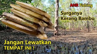 Cara Mencari Kerang Bambu [upl. by Eirolam551]