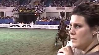 2003 Hackney Pony World Grand Championship [upl. by Darej]