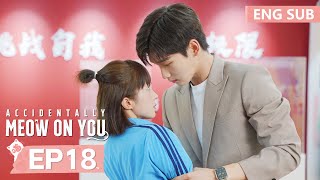 ENG SUB《一不小心喵上你 Accidentally Meow On You》EP18——邢昭林，胡冰卿  腾讯视频青春剧场 [upl. by Vyner]