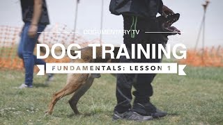 DOG TRAINING FUNDAMENTALS LESSON 1 [upl. by Conti]