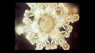 Masaru Emoto  Water Experiments [upl. by Leach]