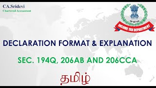 Declaration format amp explanation 194Q 206AB and 206CCA [upl. by Anaeed750]