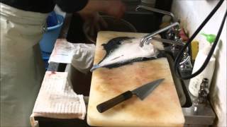 Fugu Fish is cleaned by licensed Japanese chef No 1 [upl. by Francoise956]