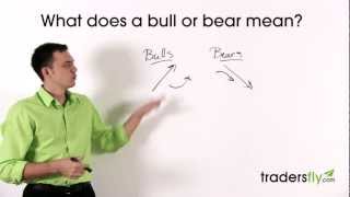 What Does a Bull and Bear Mean in the Stock Market [upl. by Adnir]