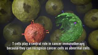 Immunotherapy using checkpoint inhibitors subtitles [upl. by Tu730]