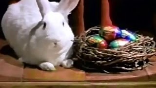 Cadbury Easter Bunny Tryouts TV Commercial HD [upl. by Angle]