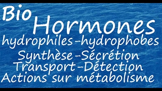 Hormones hydrophiles et hydrophobes [upl. by Wallraff]